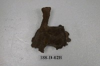 藏品(鹿頭化石)的圖片